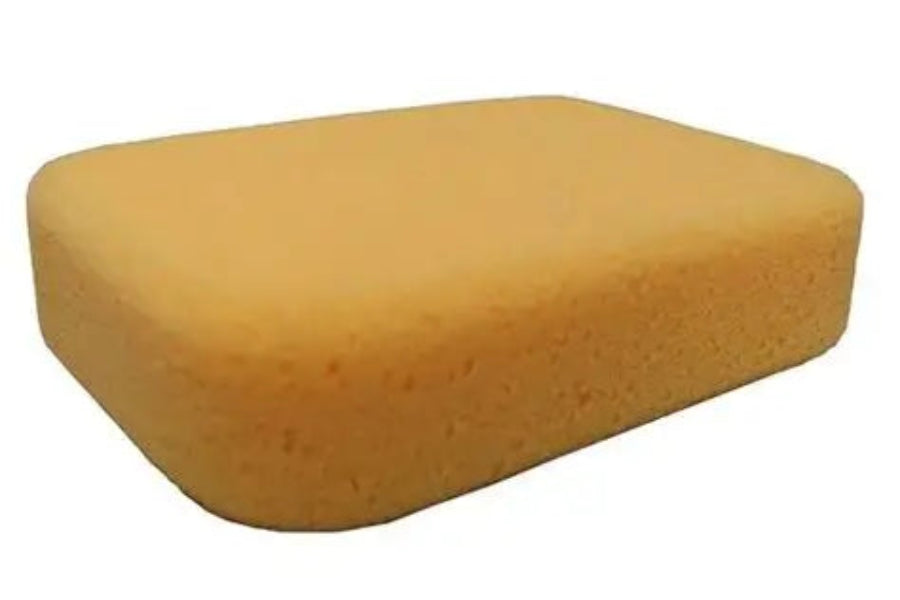 Hayden Foam Sponge